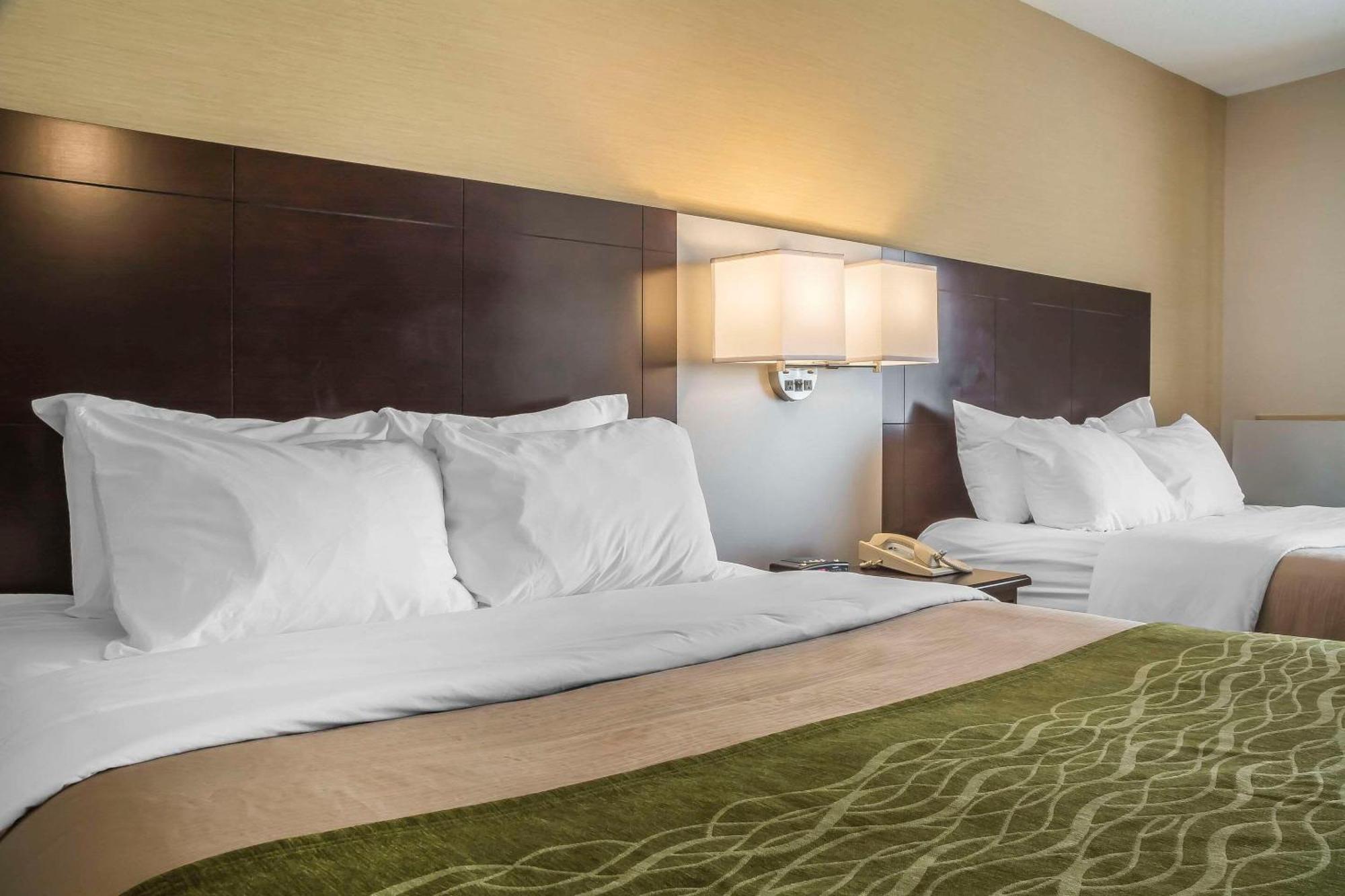 Comfort Inn Chatham-Kent Eksteriør billede