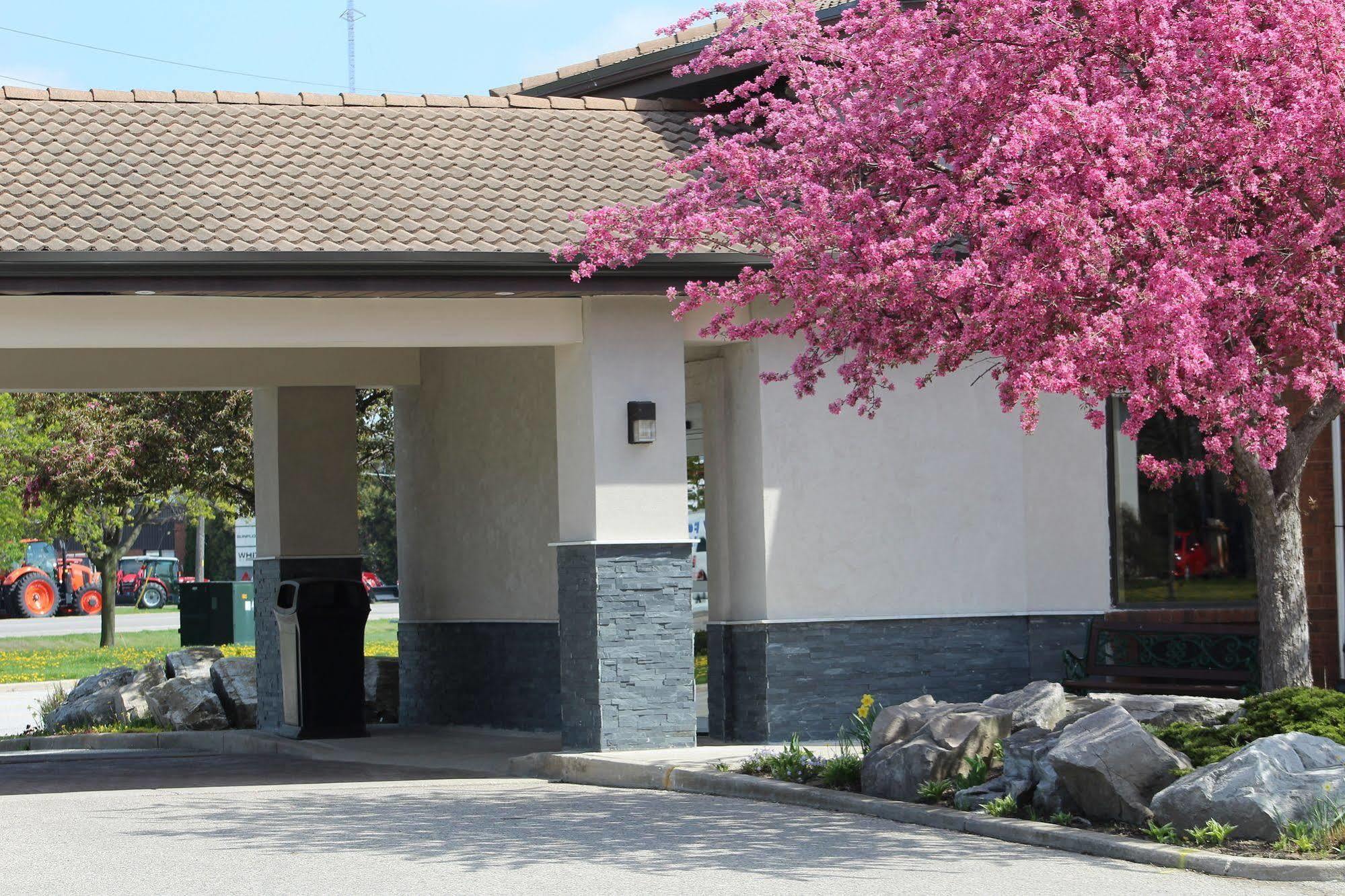 Comfort Inn Chatham-Kent Eksteriør billede