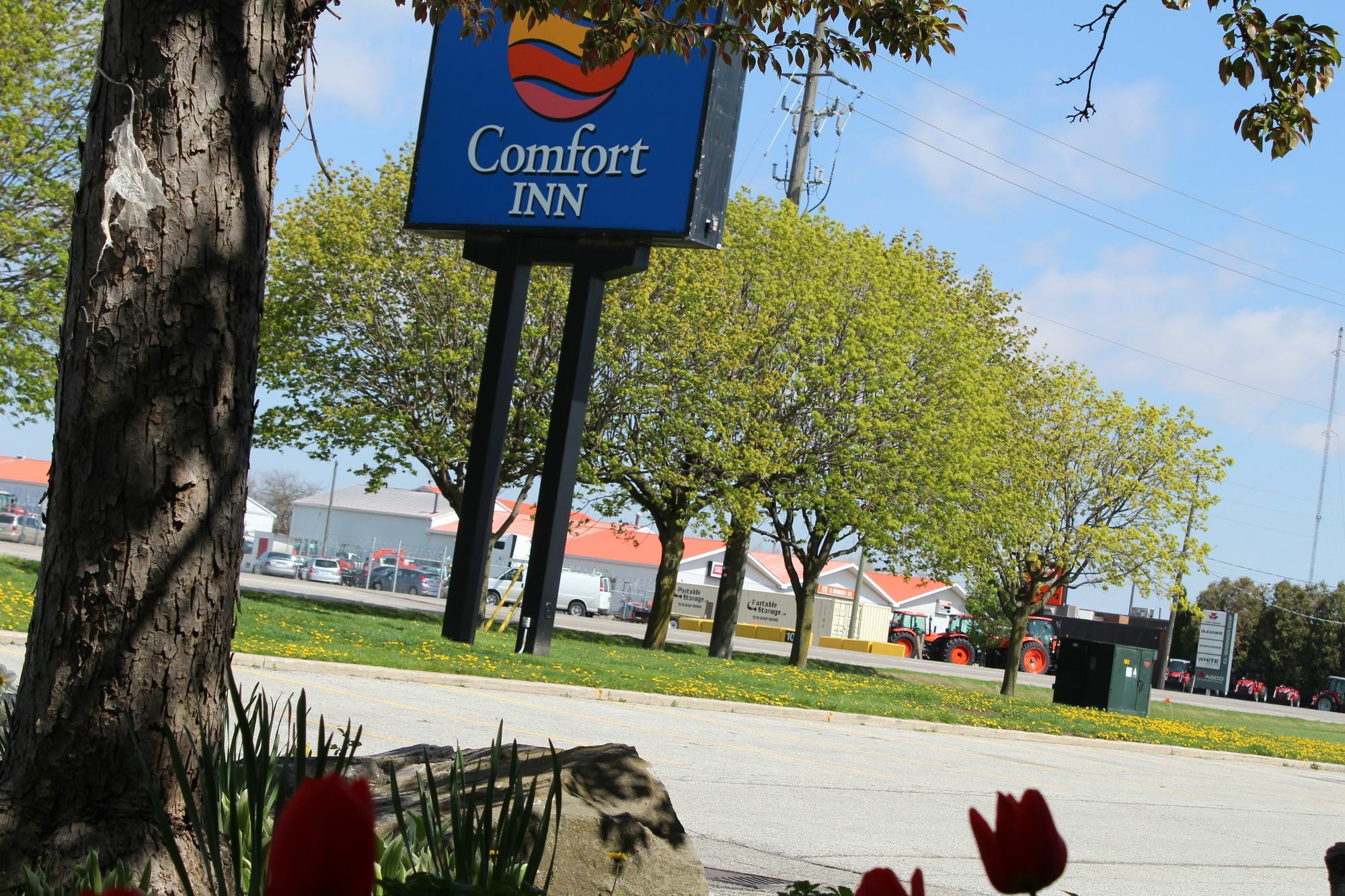Comfort Inn Chatham-Kent Eksteriør billede