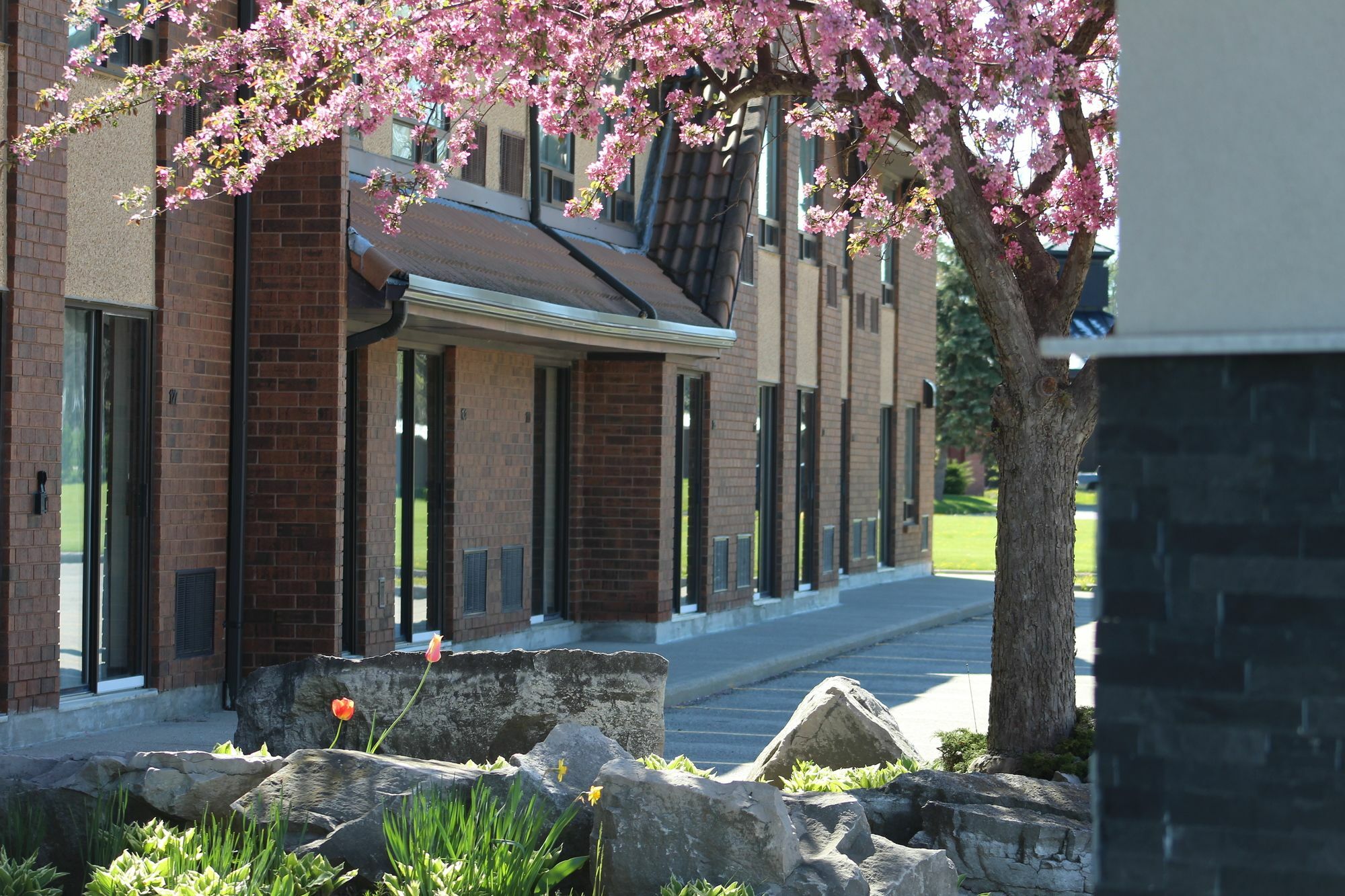 Comfort Inn Chatham-Kent Eksteriør billede